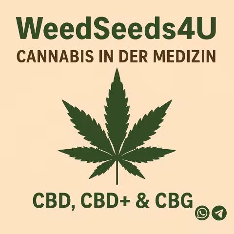 Alternative Heilmethoden Cannabis Blatt mit cbd,cbg und cbd+
